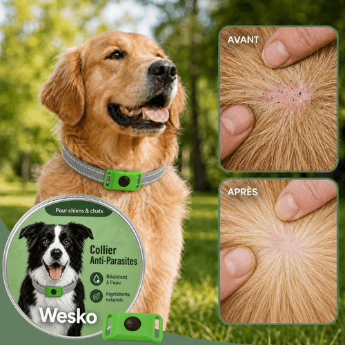 Wesko™ Collier Anti-Puces & Tiques 12 Mois