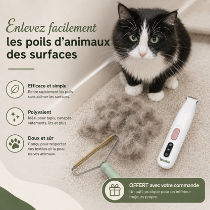 Tondeuse de toilettage pour chat