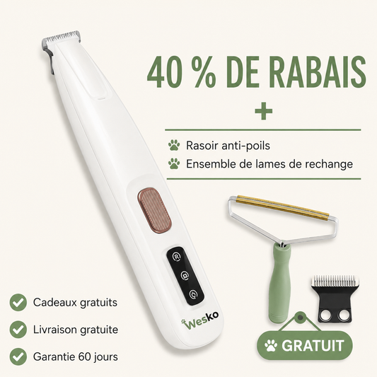 Tondeuse de toilettage pour chat