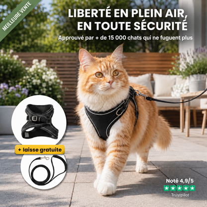 Harnais Anti-Fugue pour Chat + Laisse