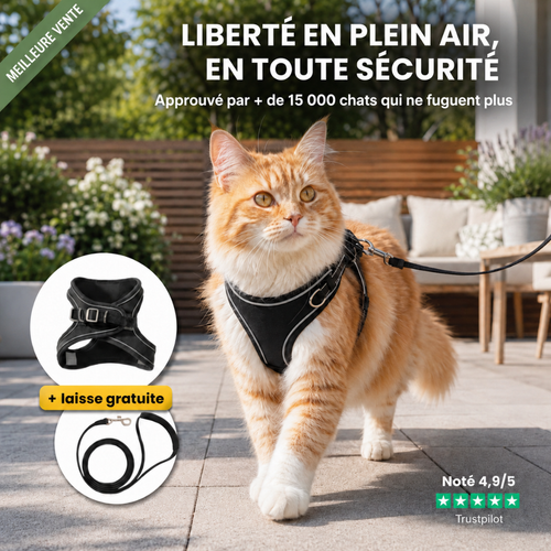 Harnais Anti-Fugue pour Chat + Laisse