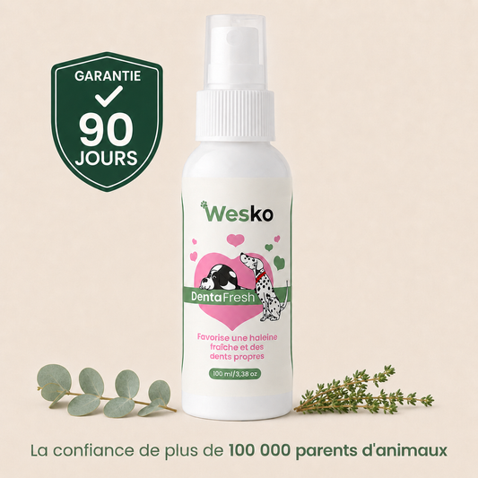 Wesko™ DentaFresh — Spray Dentaire Chiens et Chats