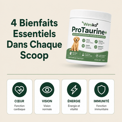 Pro Taurine+
