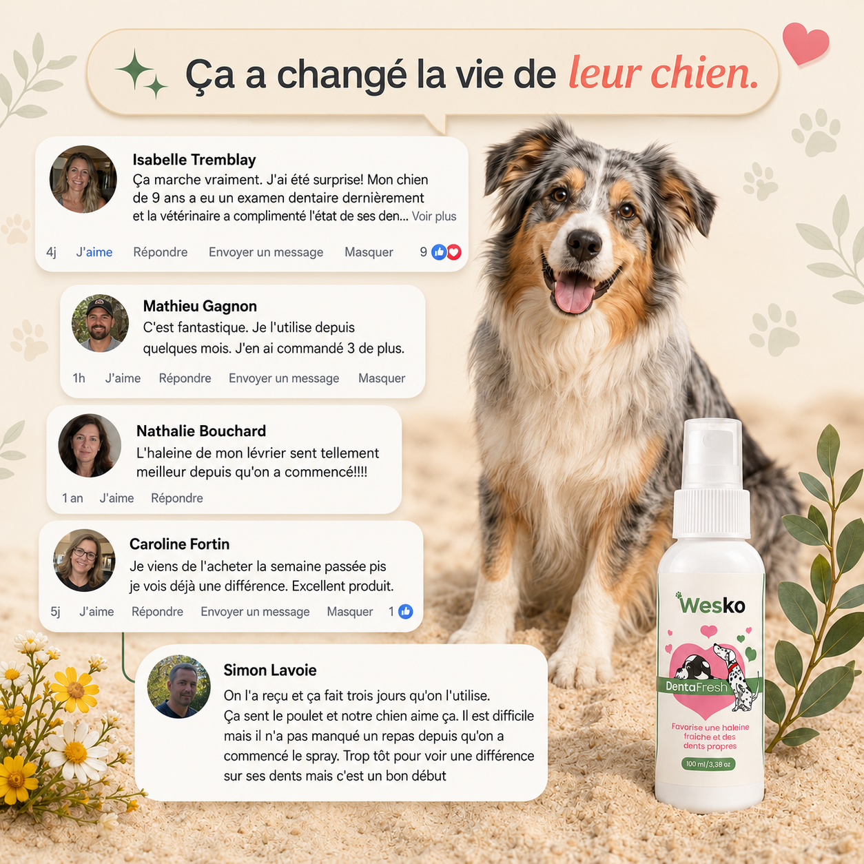Wesko™ DentaFresh — Spray Dentaire Chiens et Chats