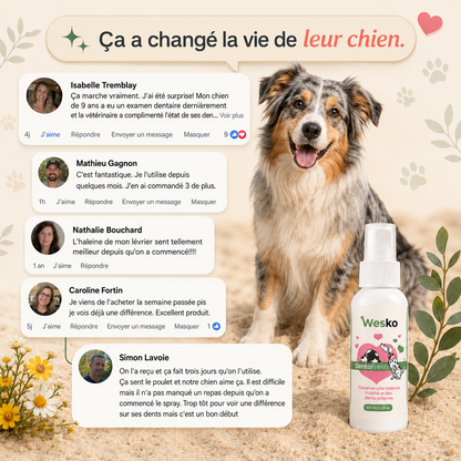 Wesko™ DentaFresh — Spray Dentaire Chiens et Chats