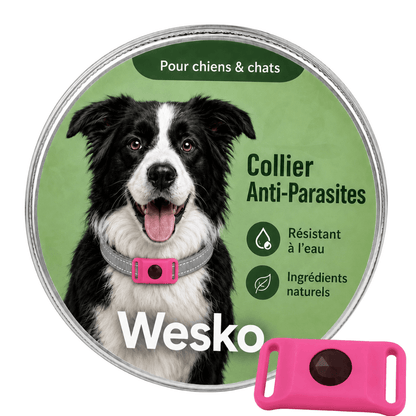 Wesko™ Collier Anti-Puces & Tiques 12 Mois