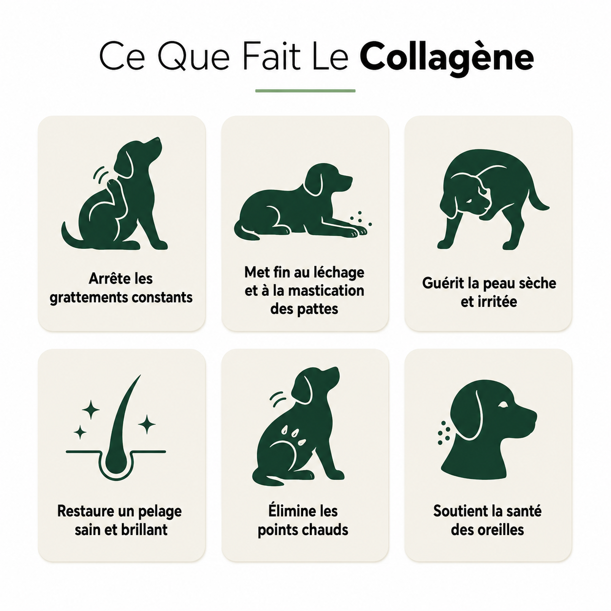 Wesko Collagène Liquide Premium