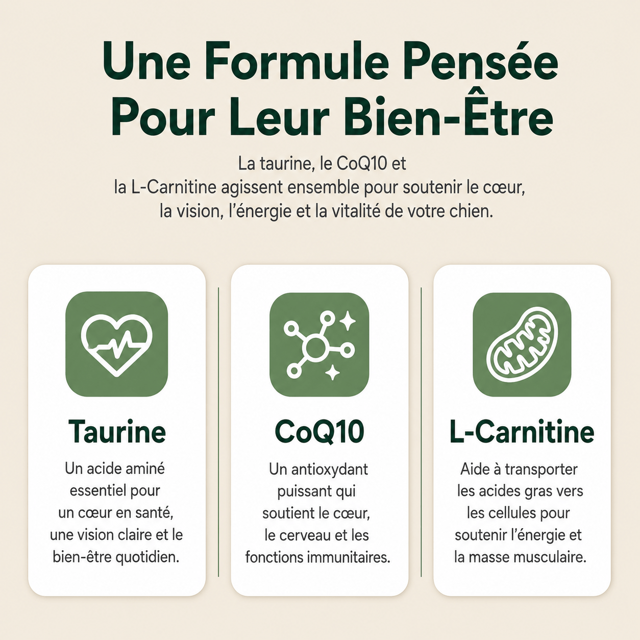 Pro Taurine+