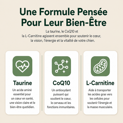 Pro Taurine+