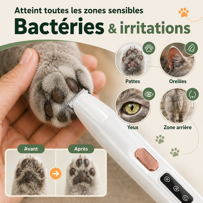 Tondeuse de toilettage pour chat