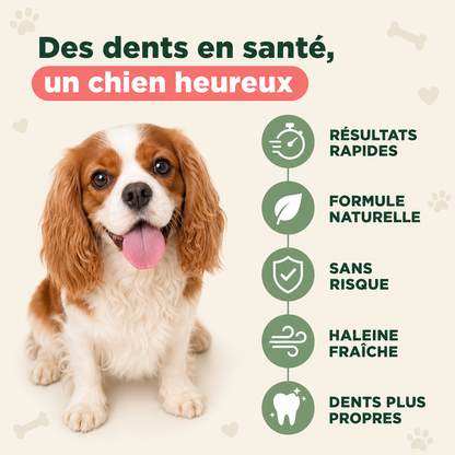 Wesko™ DentaFresh — Spray Dentaire Chiens et Chats