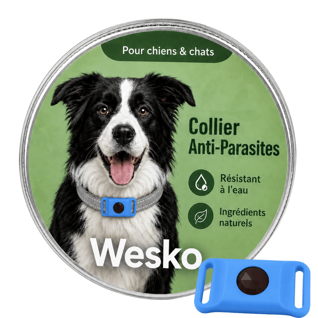 Wesko™ Collier Anti-Puces & Tiques 12 Mois