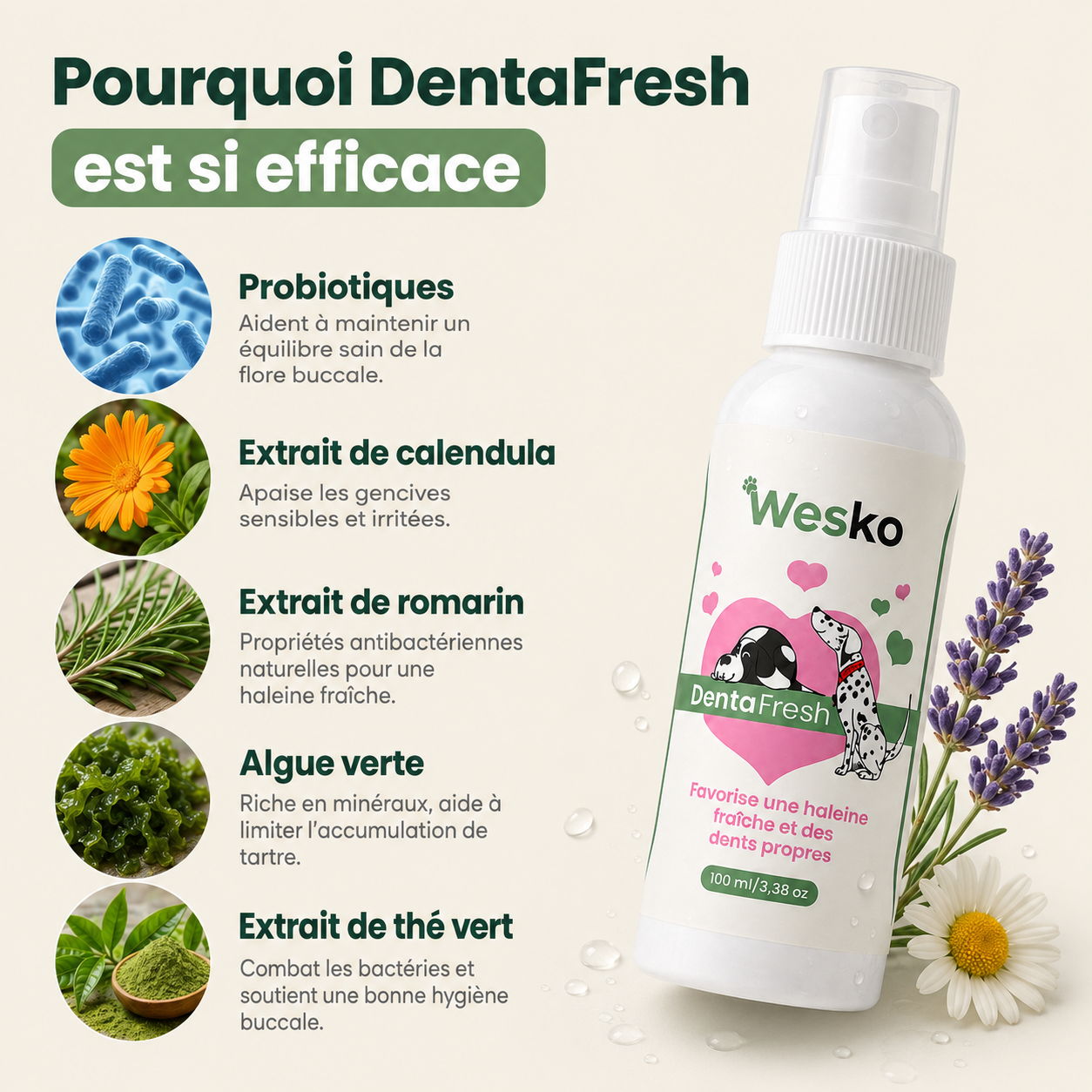 Wesko™ DentaFresh — Spray Dentaire Chiens et Chats
