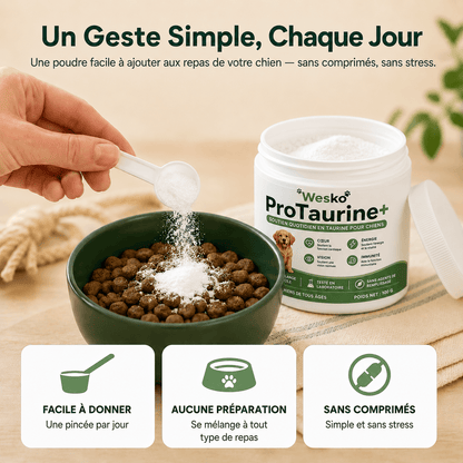 Pro Taurine+