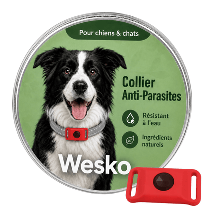 Wesko™ Collier Anti-Puces & Tiques 12 Mois