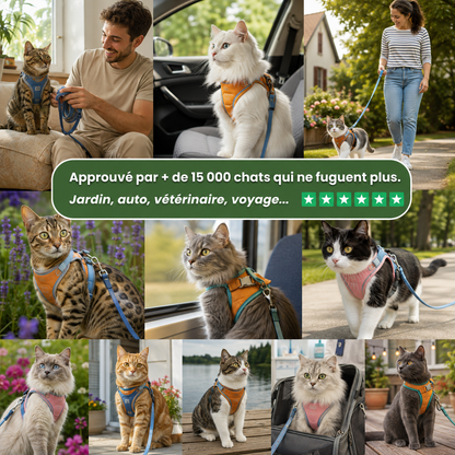 Harnais Anti-Fugue pour Chat + Laisse