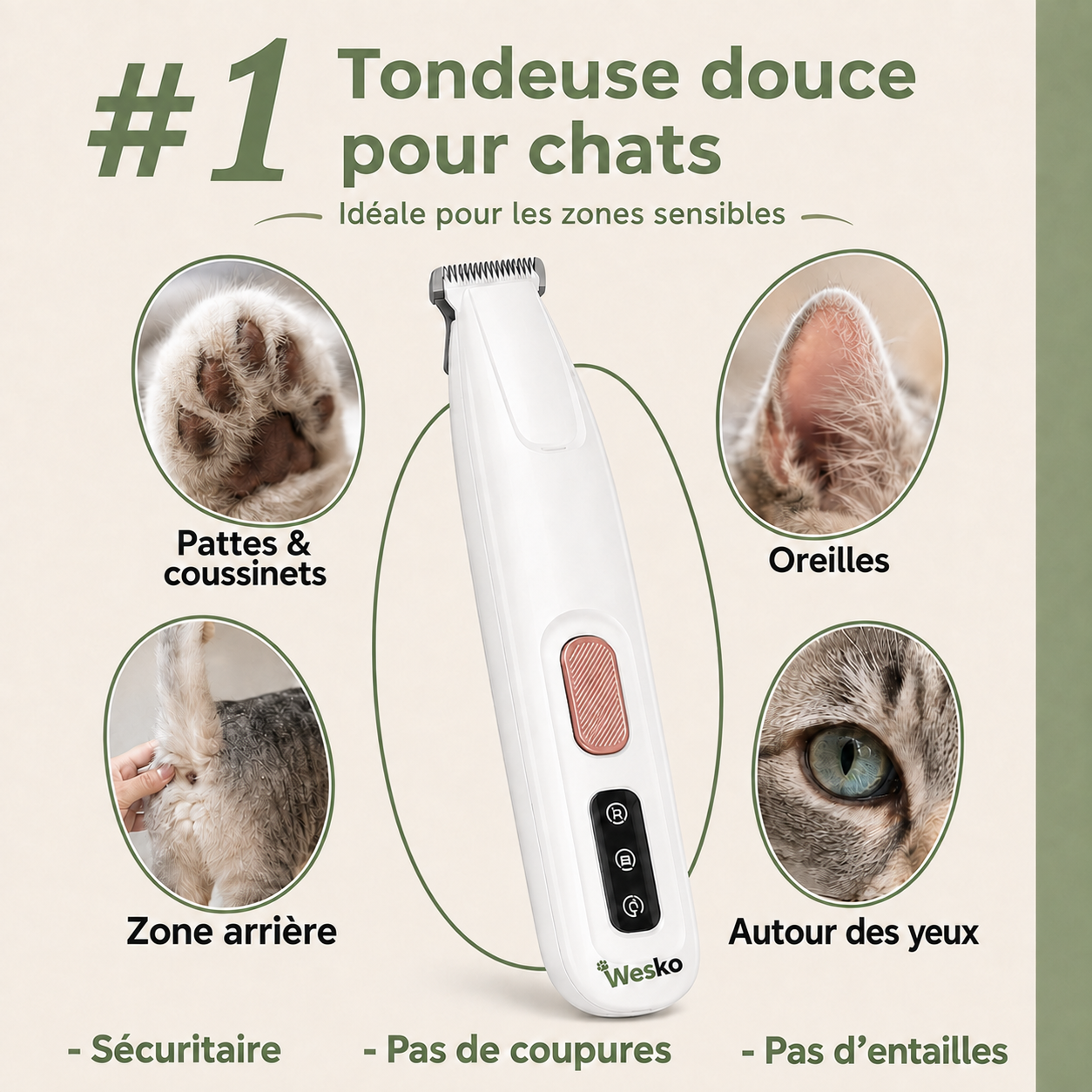 Tondeuse de toilettage pour chat