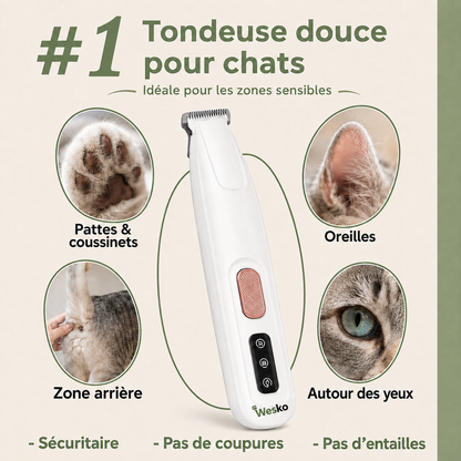 Tondeuse de toilettage pour chat