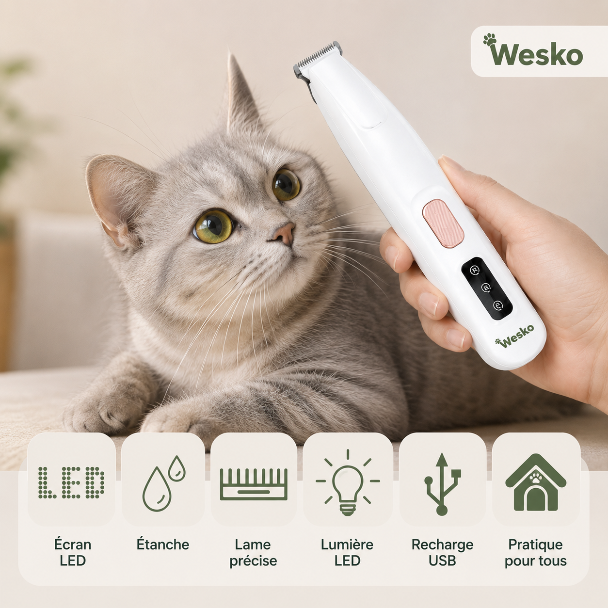 Tondeuse de toilettage pour chat