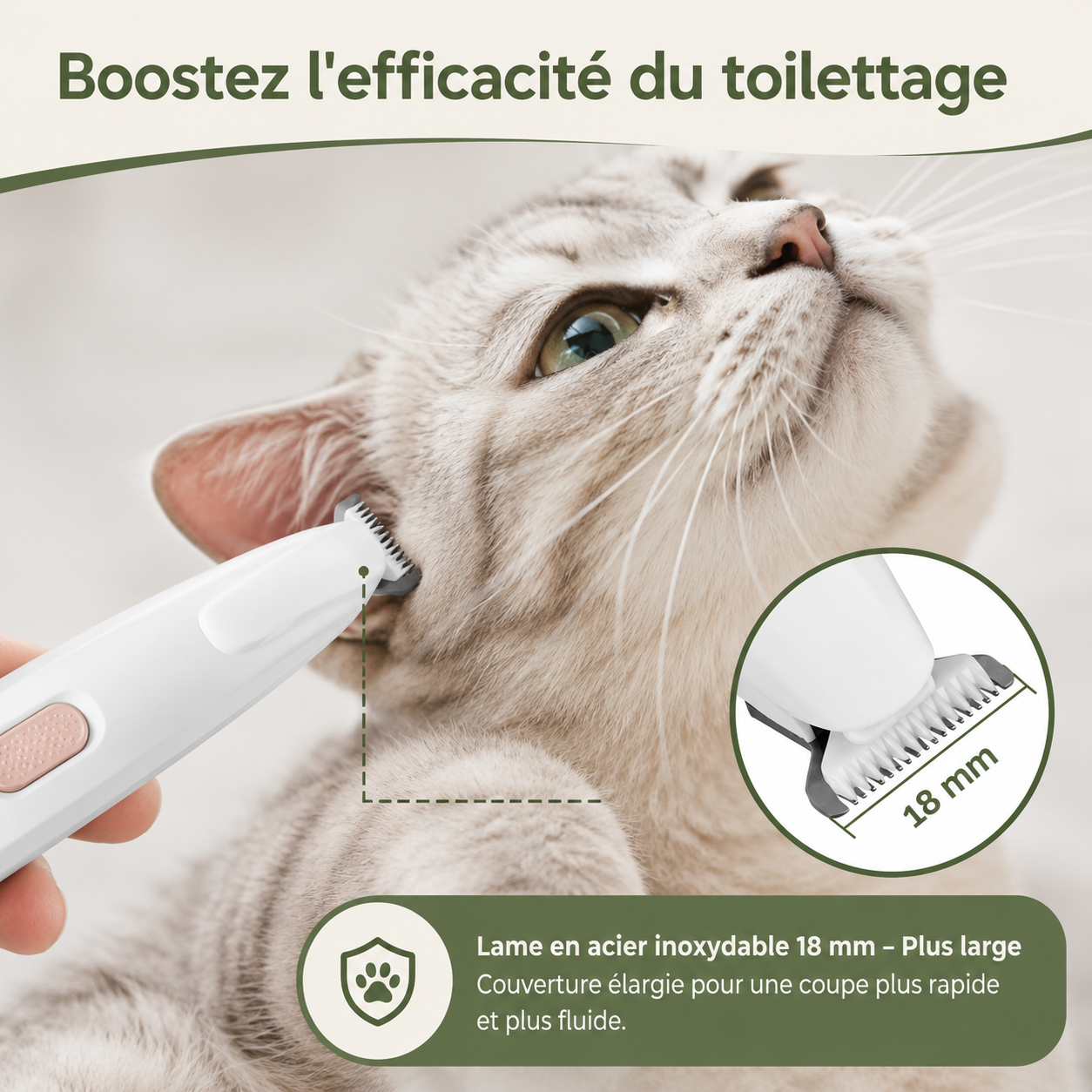Tondeuse de toilettage pour chat